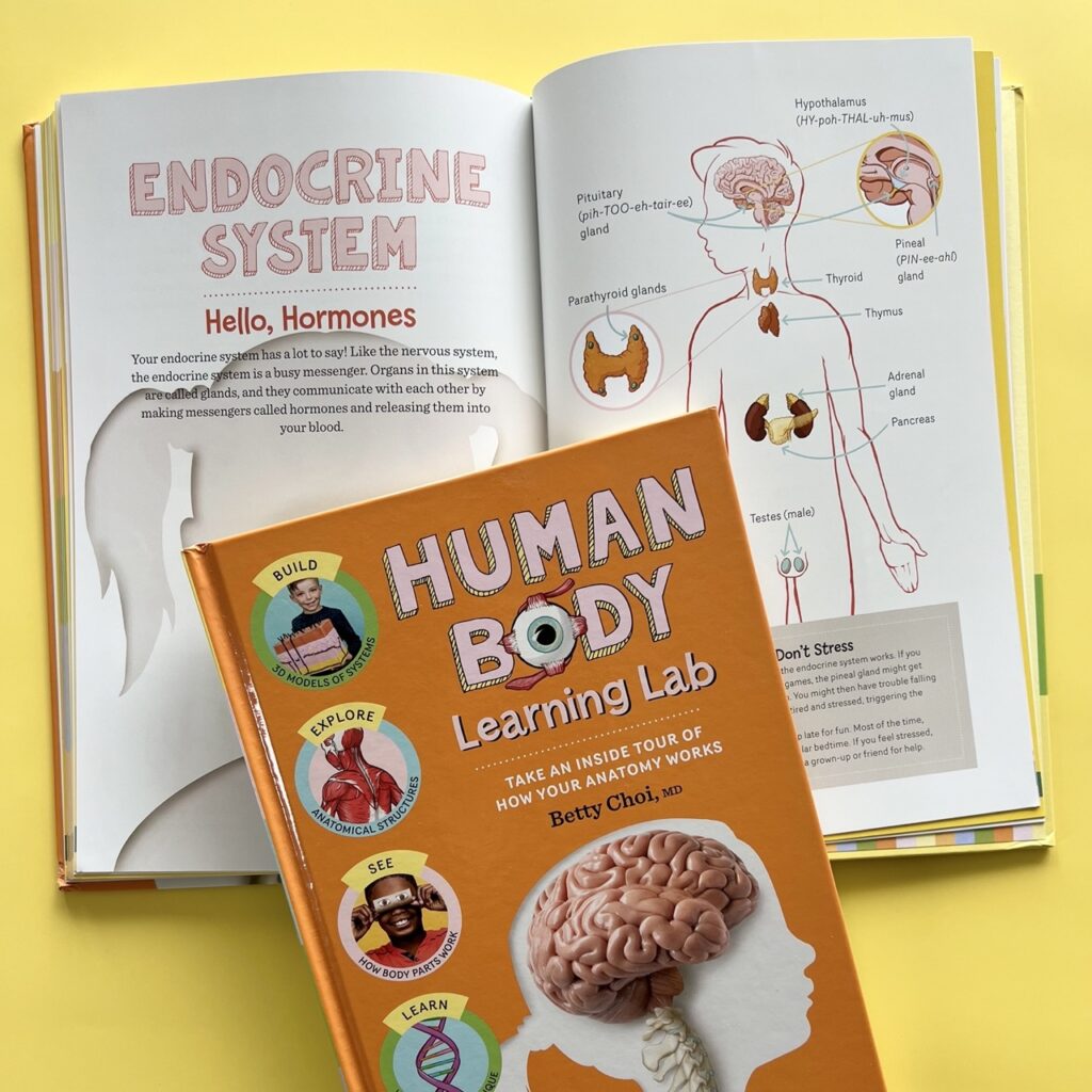 Human Body Learning Lab book with endocrine system chapter