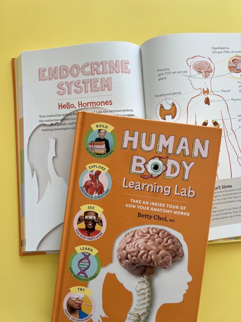 Human Body Learning Lab book with endocrine system chapter
