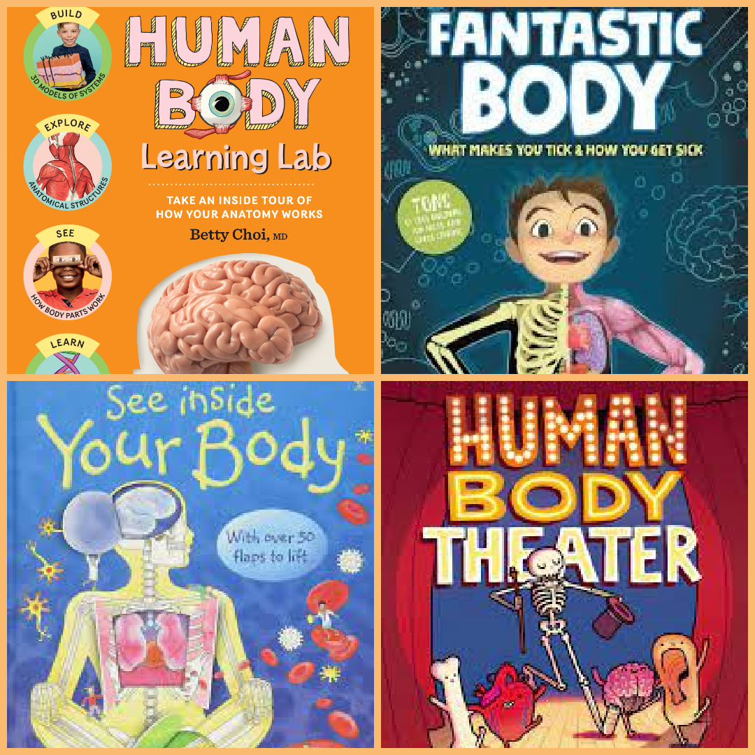 10 Amazing Human Body Books for Kids of All Ages