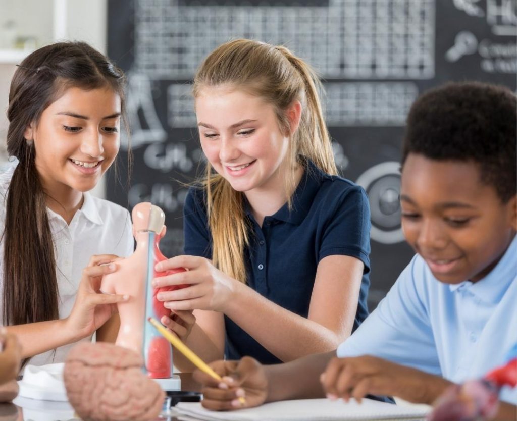 middle school students having fun exploring human body model images