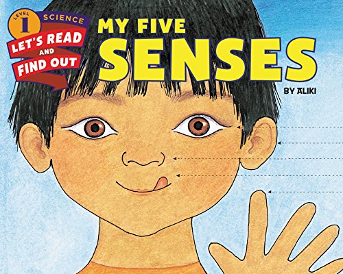 Children's picture book about the five senses