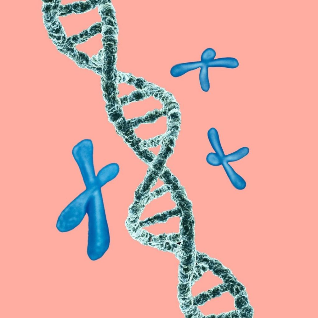 Cells, Genes, DNA - The Building Blocks of Life