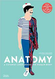 Anatomy: A Cutaway Look Inside the Human Body