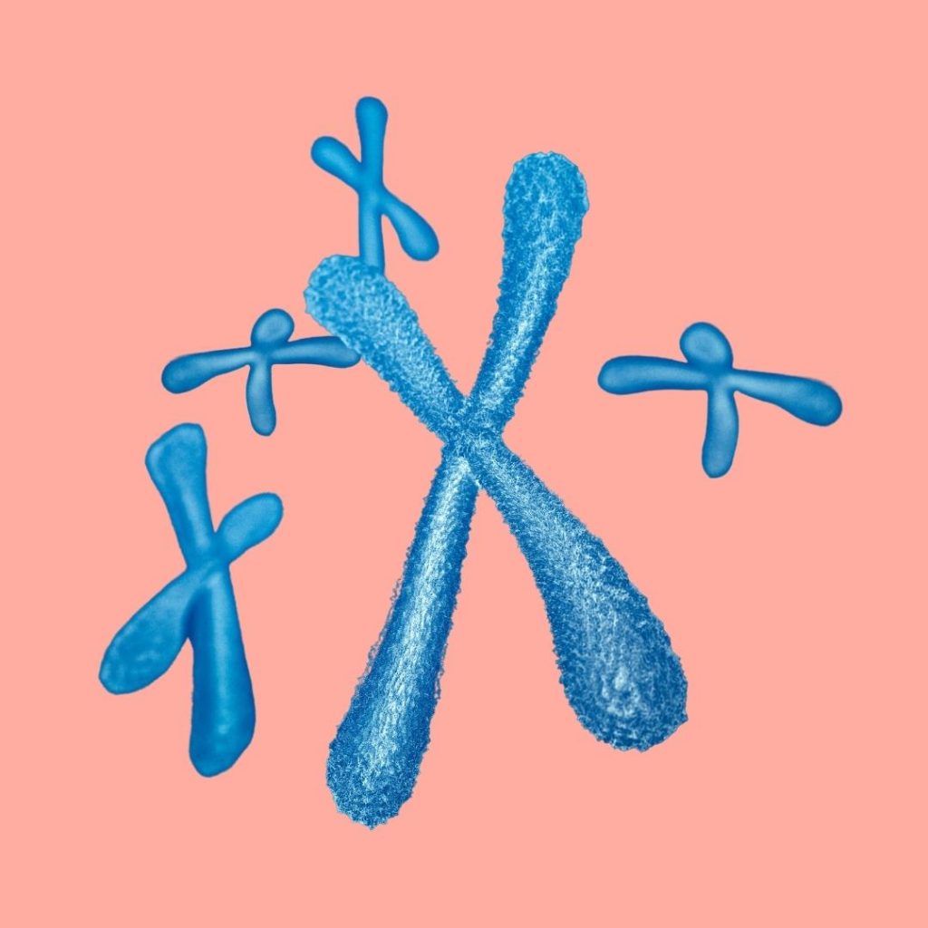 Chromosomes: Thread-like structures that contain DNA