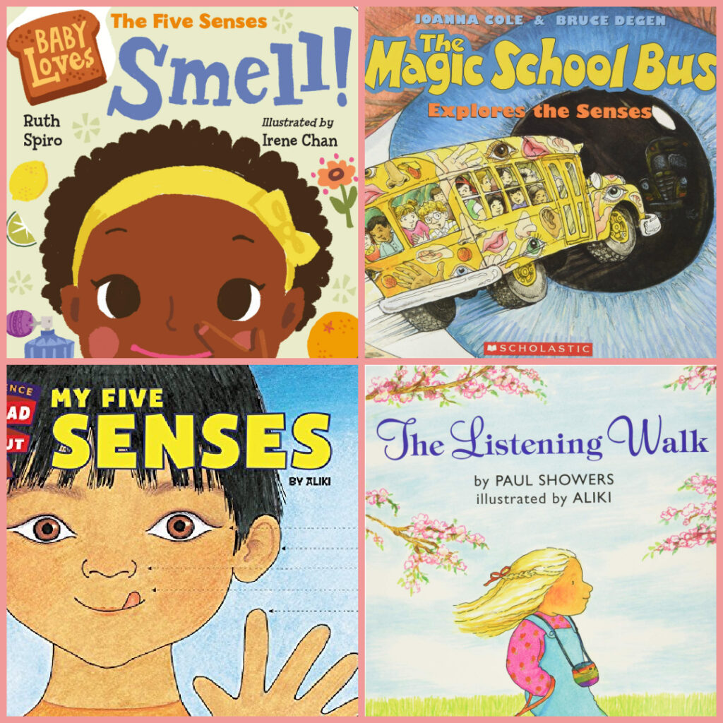 Cute Children's Books About the Five Senses