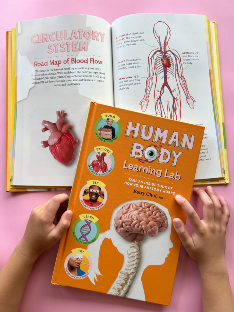 Human Body Learning Lab book - Circulatory System chapter