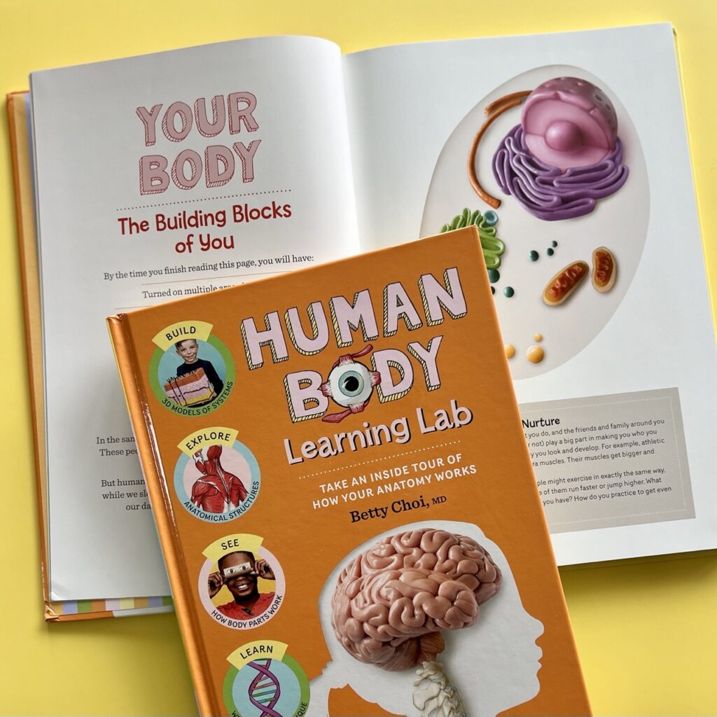 Human Body Learning Lab anatomy book for kids