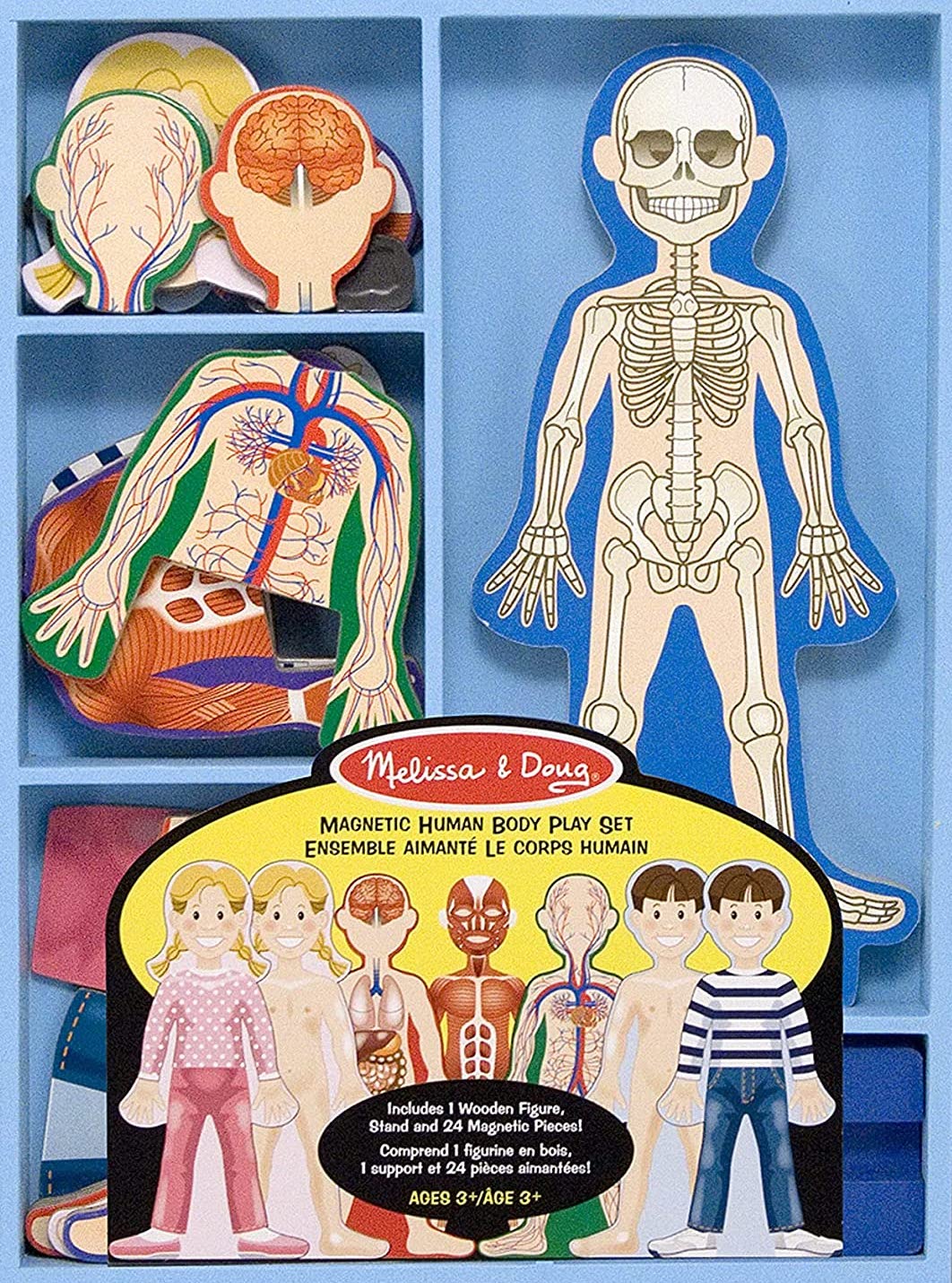 Melissa and Dough Magnetic Human Body Anatomy Play Set with 24 Magnetic Pieces and Storage Tray