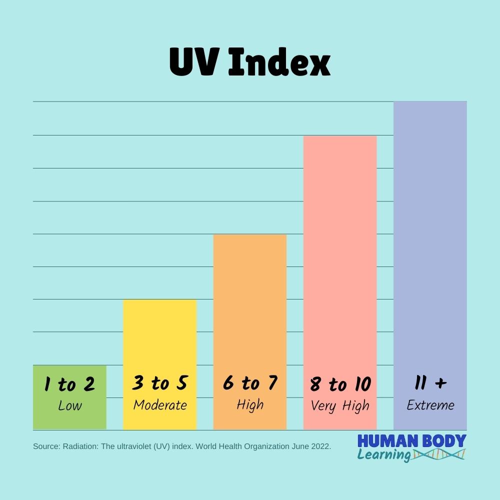 UV Index - simple chart for Kids