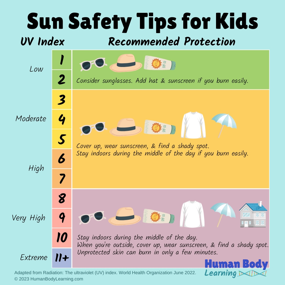 UV index chart with smart sun safety tips for kids