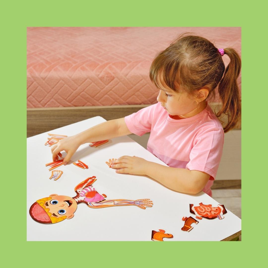 Fun Human Body Puzzles for Kids of All Ages