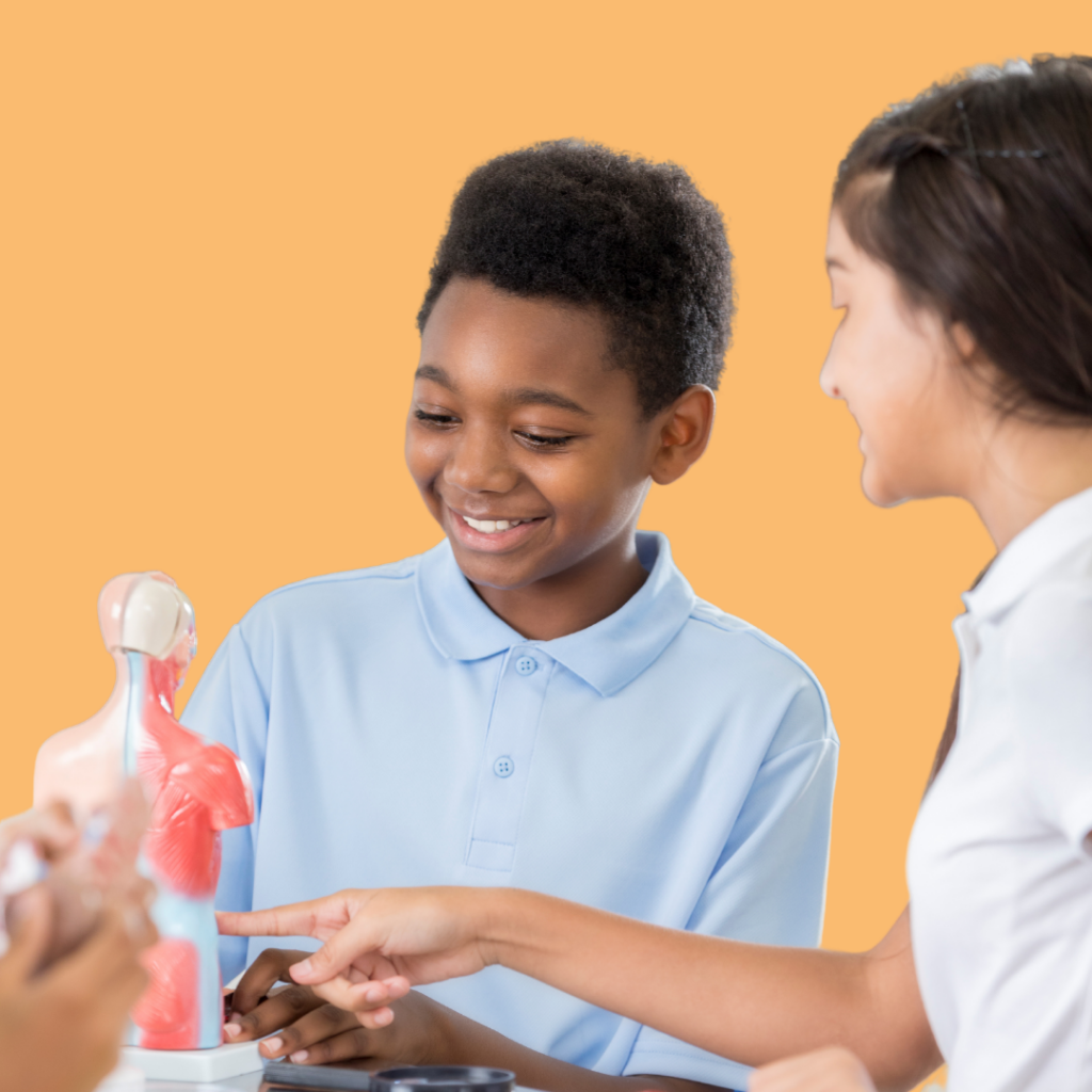 children looking at anatomy model toy