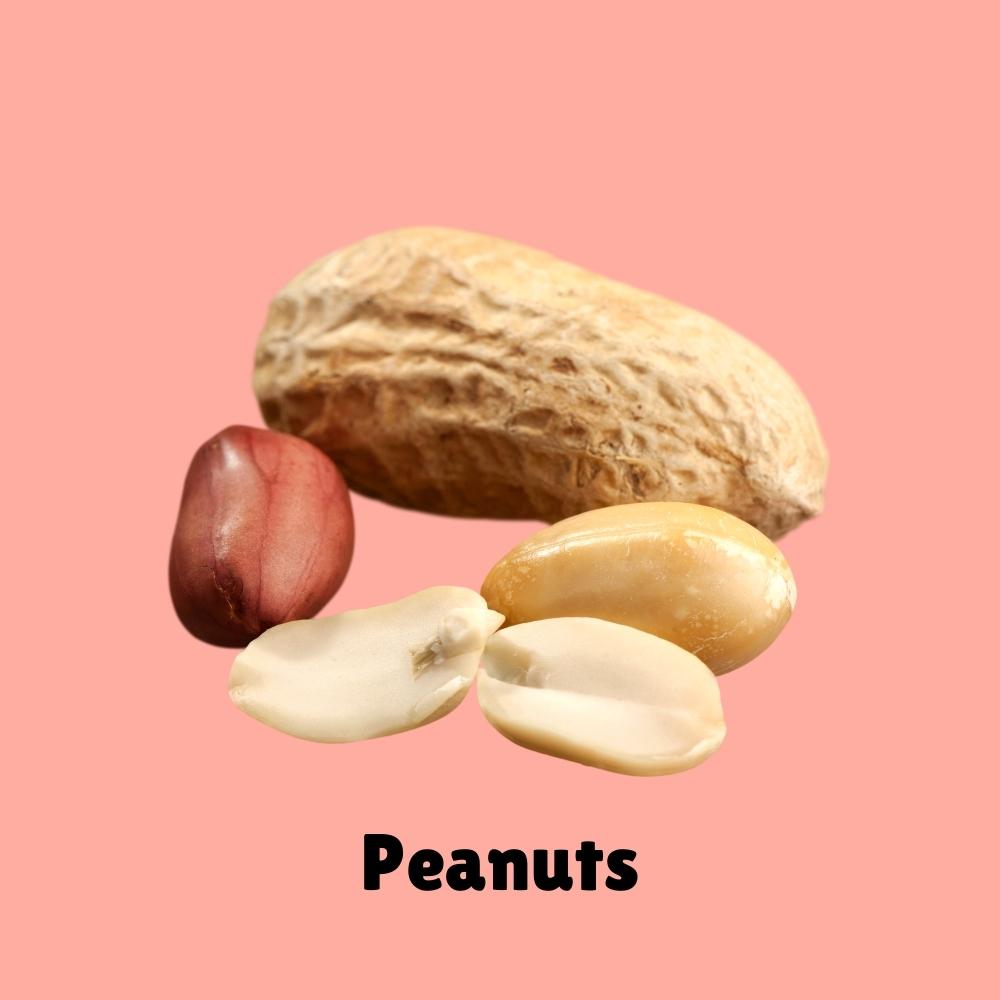 Peanuts are one of the most common food allergies in children