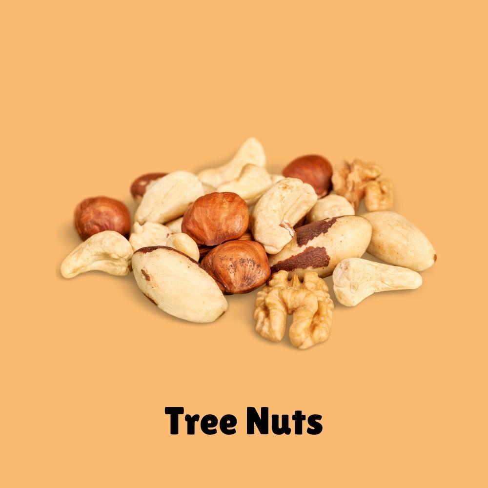 Tree nuts (almonds, pecans, walnuts, cashews, pistachios, brazil nuts) are some of the most common food allergies in children