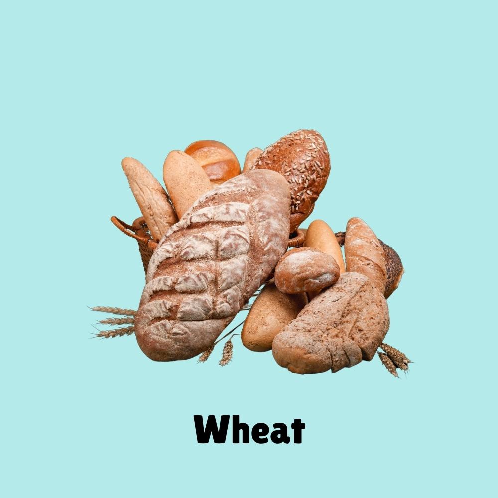 Wheat (bread, pasta, cereal, noodles) 