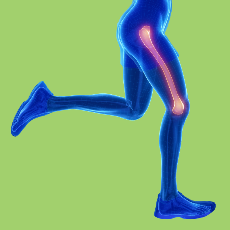 femur is the biggest bone in body