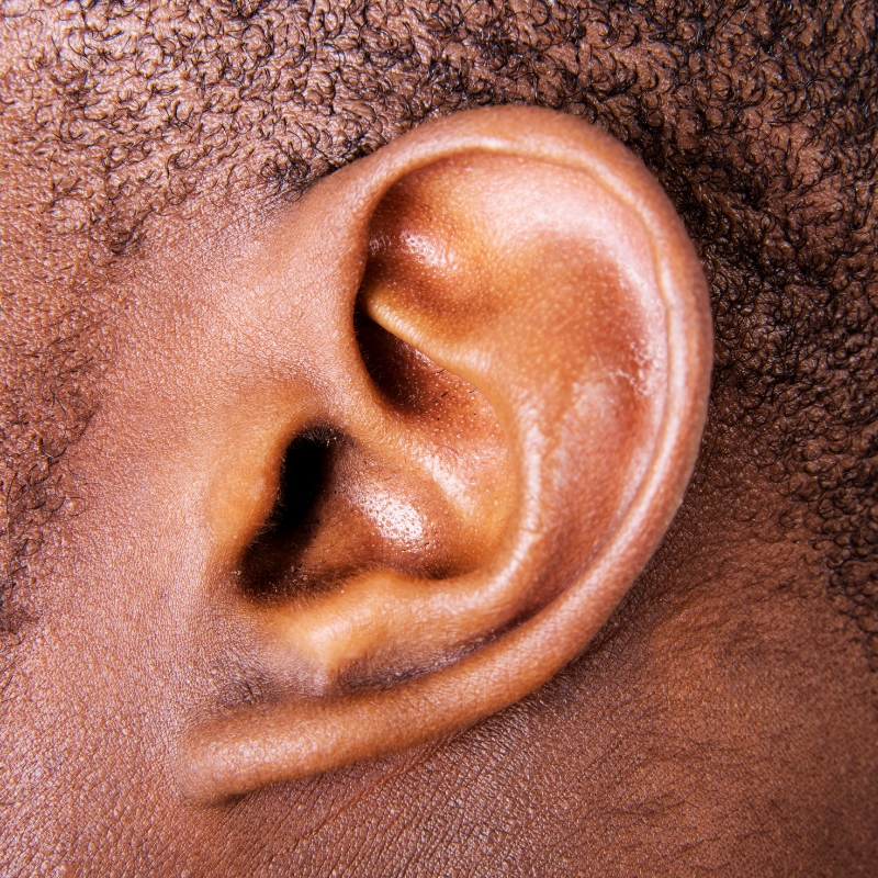 skin on outer ear and inside ear canal