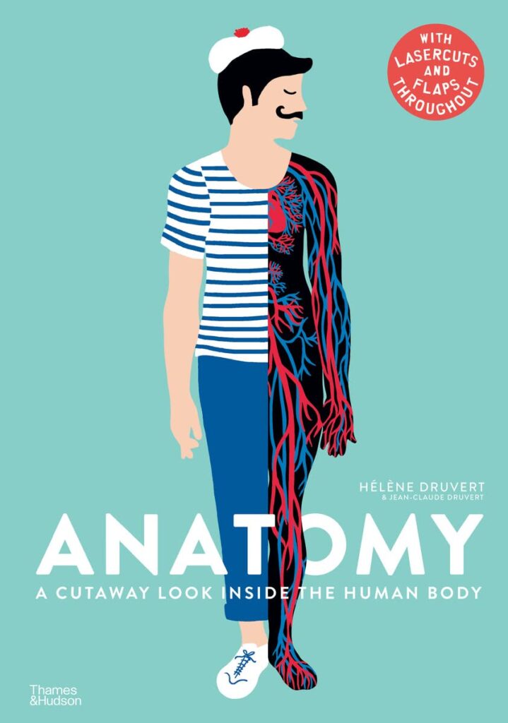 Anatomy- A Cutaway Look Inside the Human Body