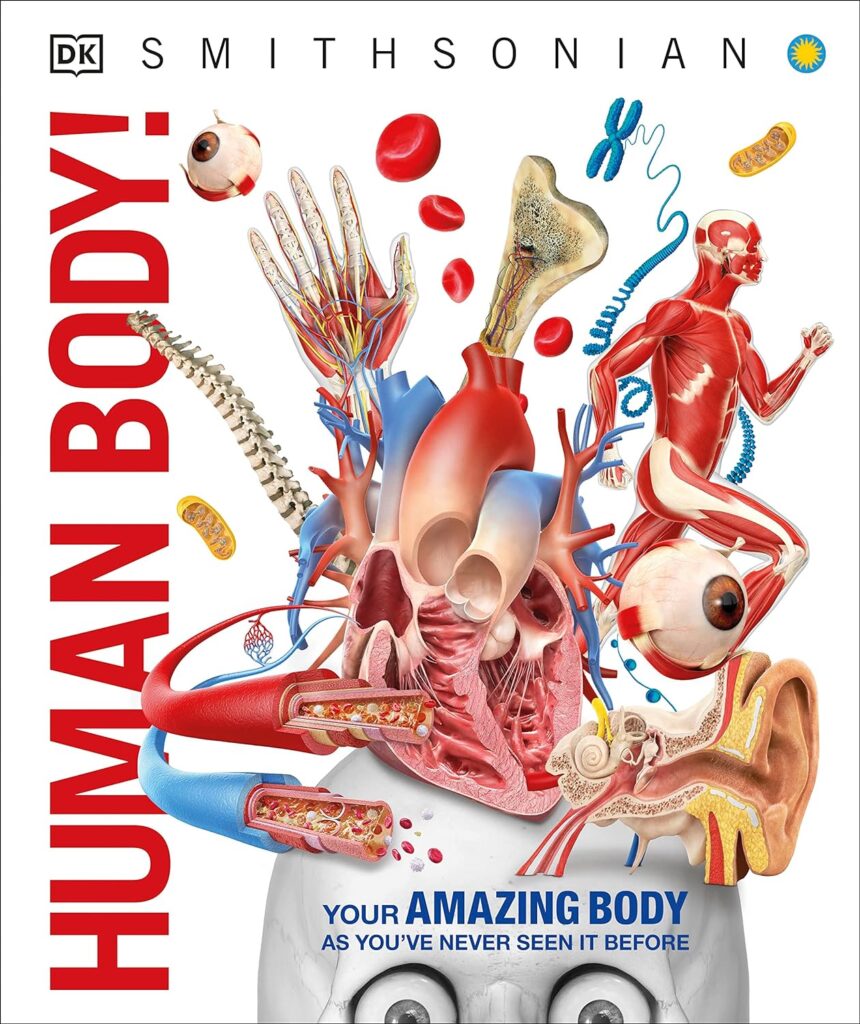 Human Body! (DK Knowledge Encyclopedias)