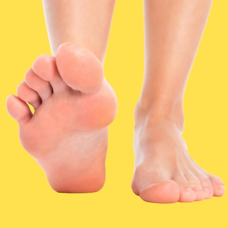 feet have the thickest skin in the human body