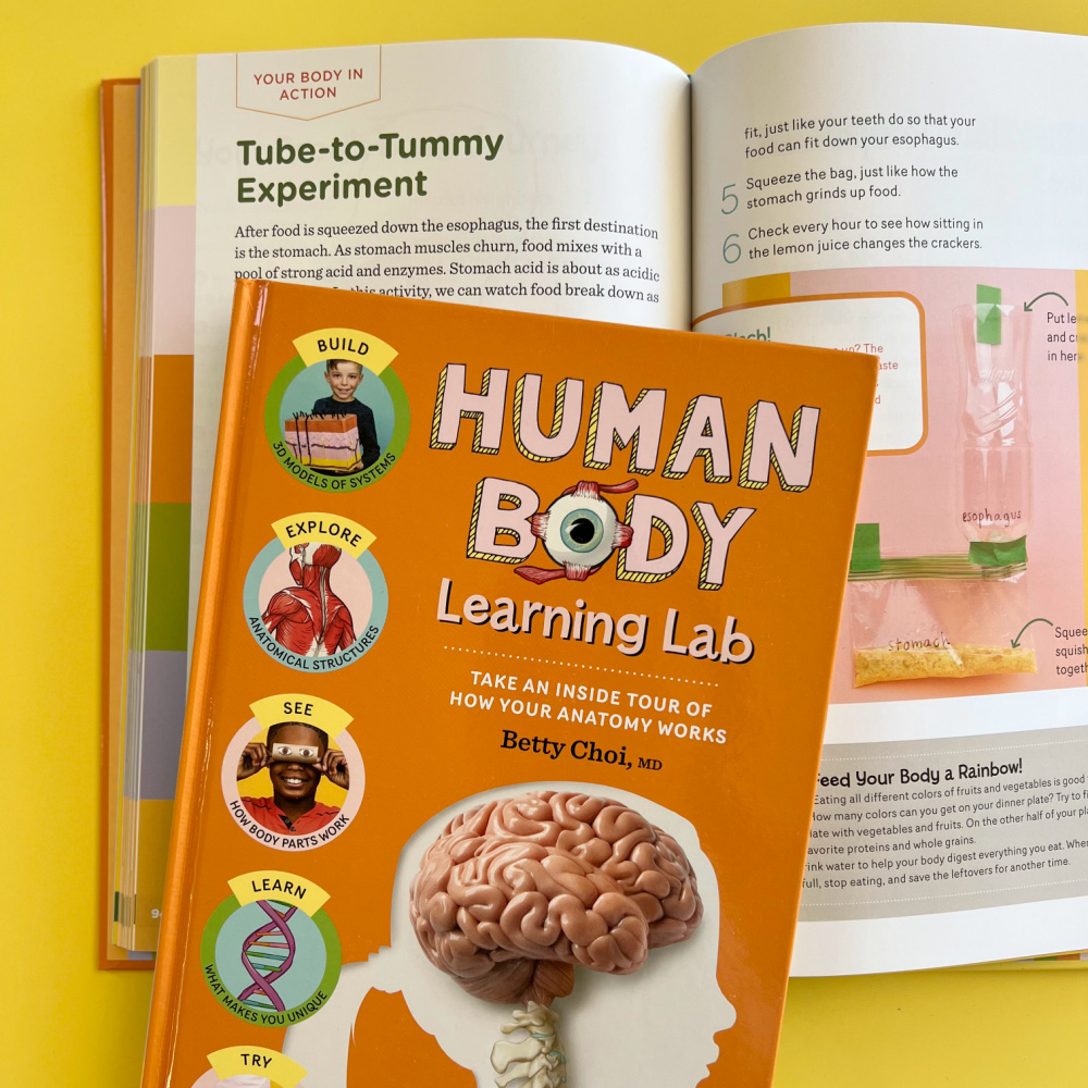 Digestive system experiment from Human Body Learning Lab anatomy book for kids