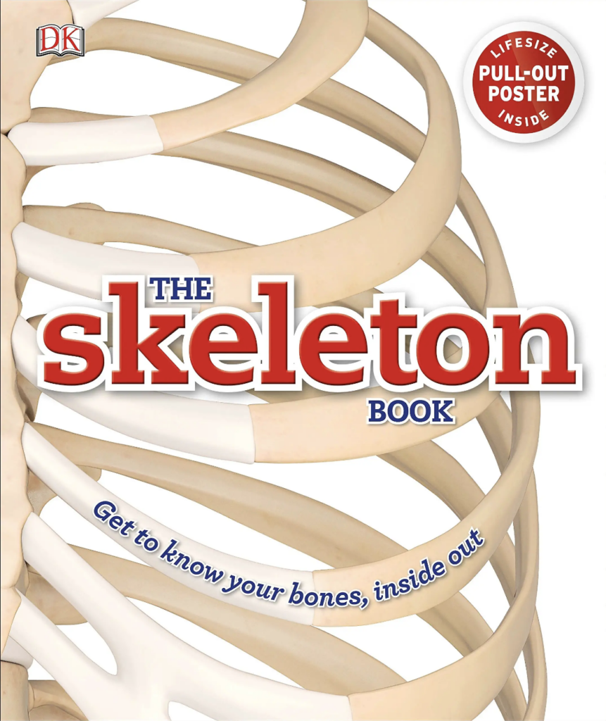 DK The Skeleton Book for Kids to learn all about healthy and broken bones