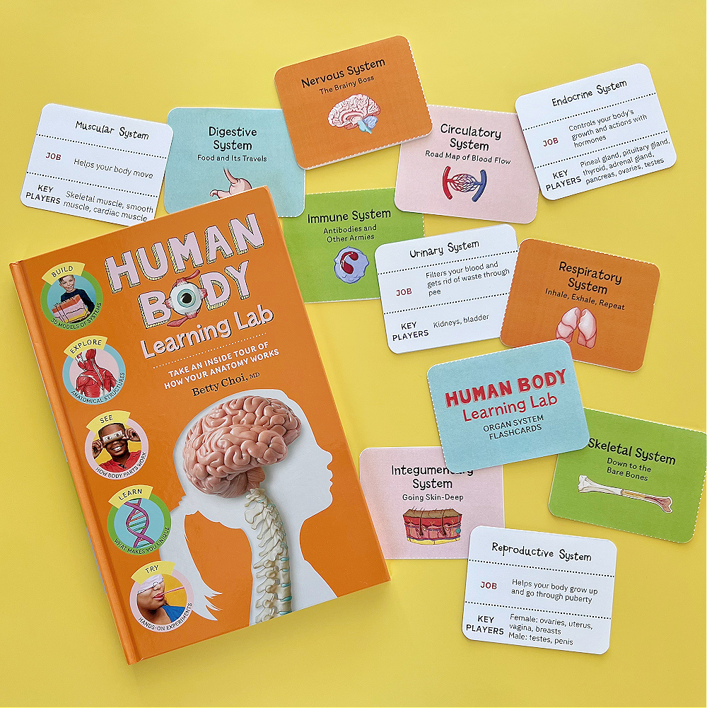 Human Body Learning Lab organ system flashcards for kids