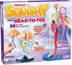 Totally Squishy from Head to Toe Human Body Model
