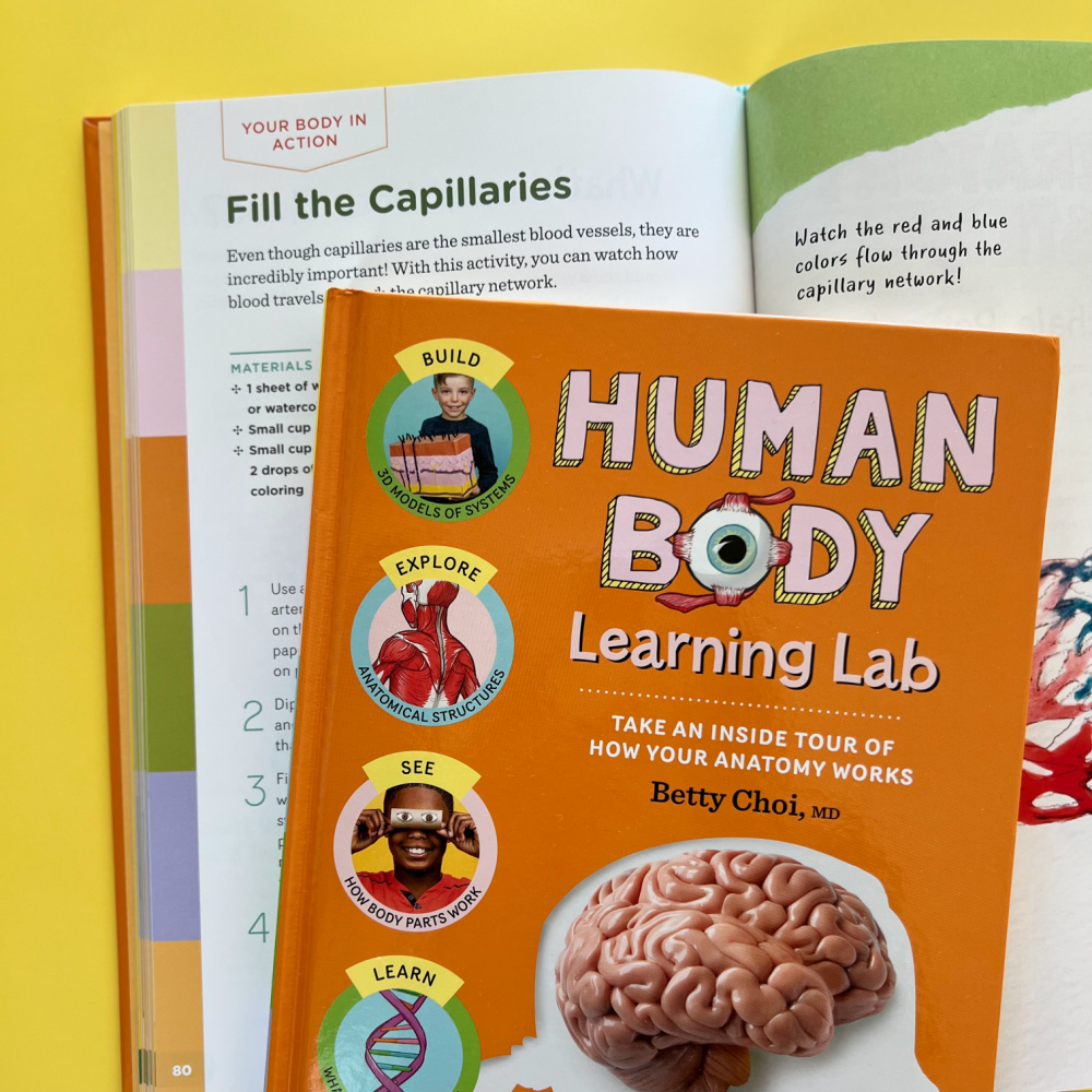 Human Body Learning Lab Fill the Capillaries Science Activity