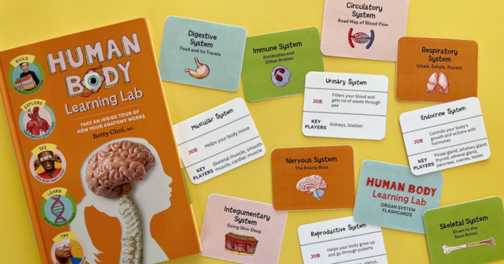 Human Body Learning Lab Organ System Flashcards for Kids