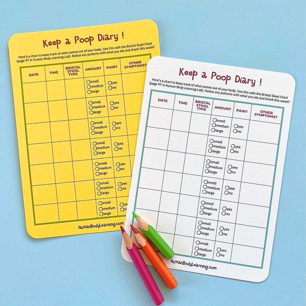 Human Body Learning Lab Poop Diary Bristol Stool Chart for Kids