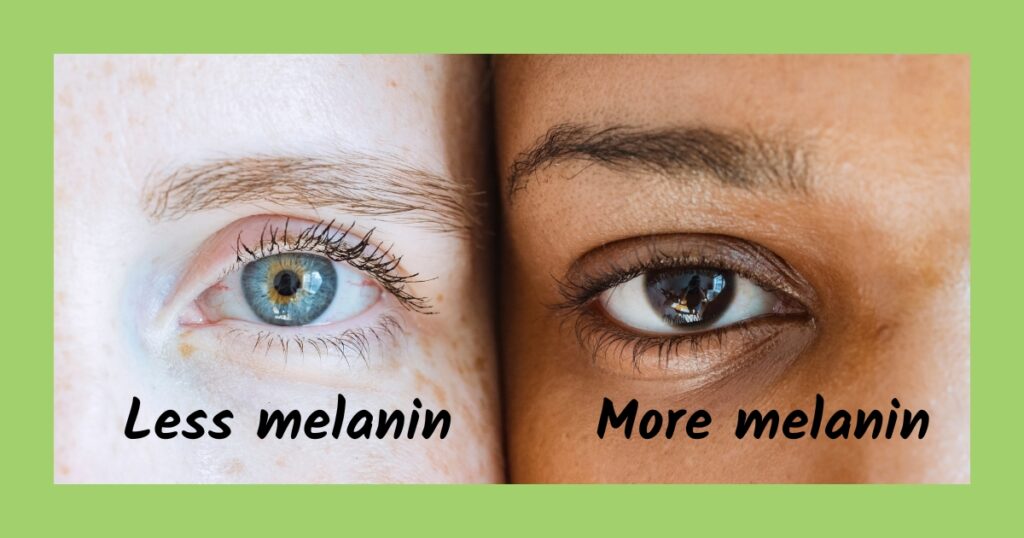 Fun eye facts for kids - brown eyes have more melanin