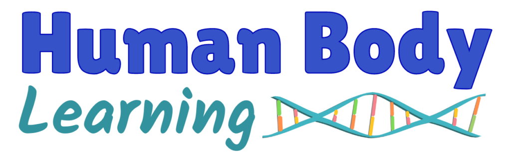Human Body Learning website logo