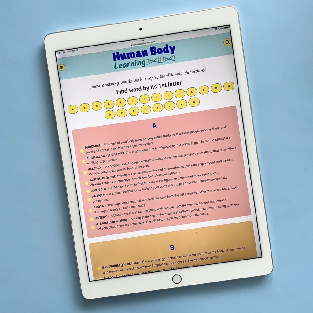 Human Body Anatomy Learning Glossary for Kids