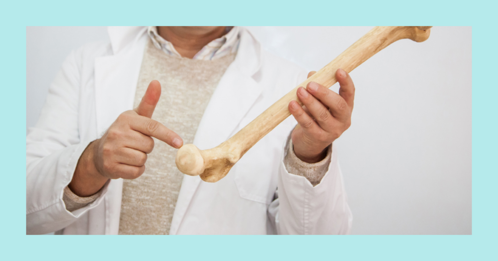 What's inside your bones All about bone marrow
